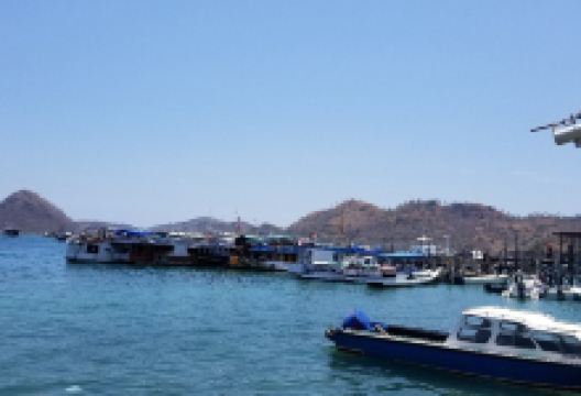 White Pier景点图片