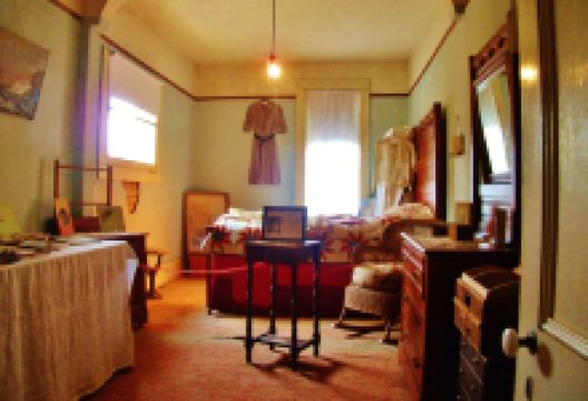 Zimmerman House Museum and Gardens景点图片
