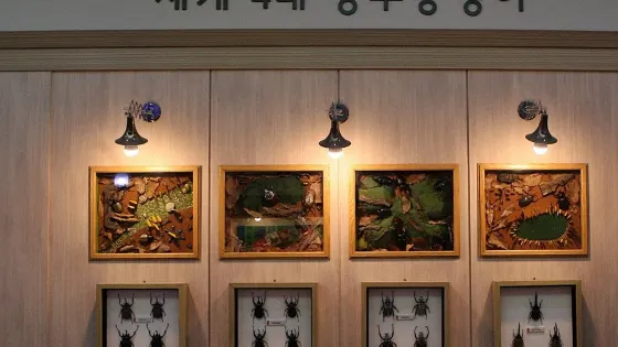 鹹平世博公園 - 蝴蝶昆蟲標本展館