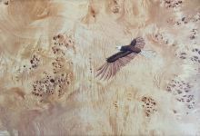 Imagine Marquetry Studio Gallery景点图片