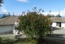 CENTRO DE FORMACION DE MISIONERAS INDIGENAS DEL ECUADOR景点图片