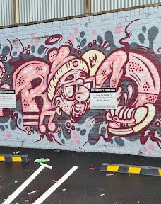 卡朗加黑皮路-奥克兰