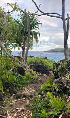 Ke Ala Loa O Maui / Piilani Trail-哈纳