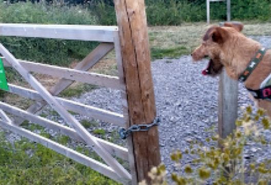 Fox And Parrot Wood景点图片