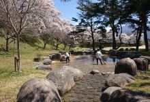 Yodagiri Park Camping Ground景点图片