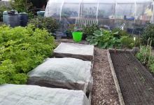 New Village Allotments景点图片
