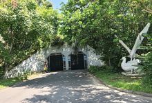台北市立动物园鸟园景点图片