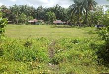 Kepulauan Mentawai景点图片