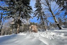 SEDLO POD VYSOKOU景点图片