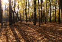 Pine Hill Trail景点图片
