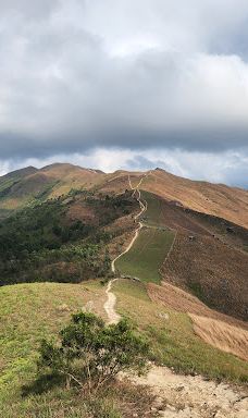 鸡公岭-香港