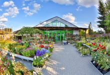 School Plant \ Garden Center 'New Garden'购物图片