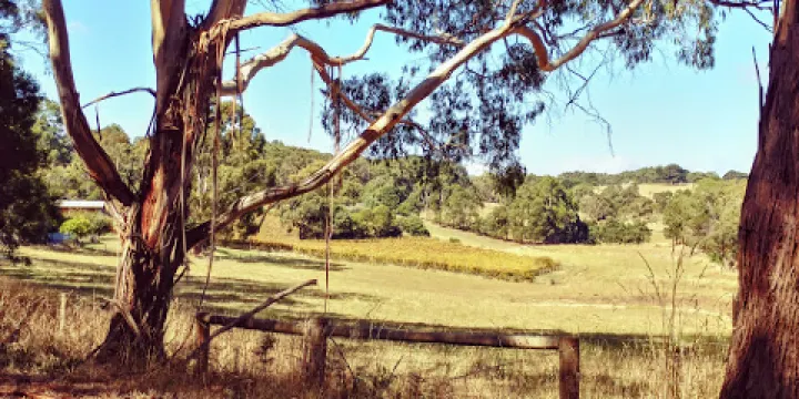 Blakes Estate Winery