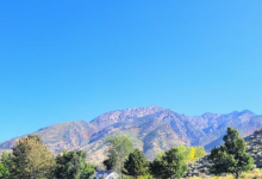 Mill Hollow Park景点图片