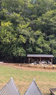 Südliche weinstraße wildlife park-南魏恩斯特拉瑟县