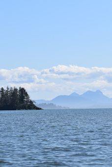 Chinook County Park-太平洋城县