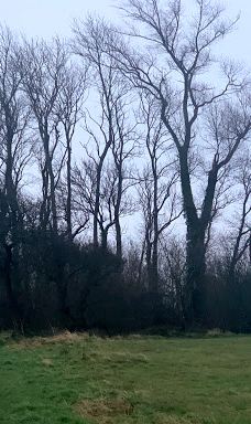 Den Sorte Strand-森讷堡