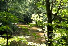 Corn Creek Waterfall景点图片