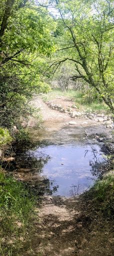 Dimple Dell Regional Park-山迪