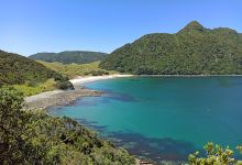 Busby Head景点图片