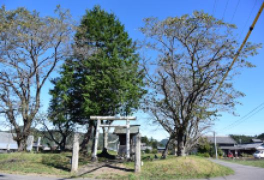 Tanaka Shrine景点图片