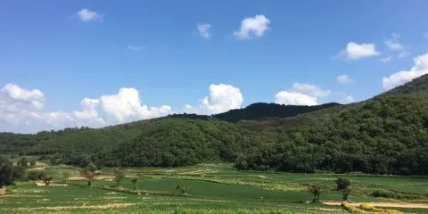 四平大架山森林公園