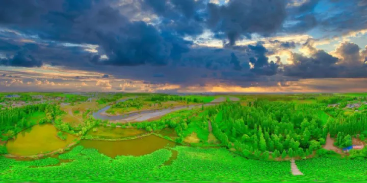 七十一團八連荷花池