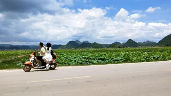 貓貓沖