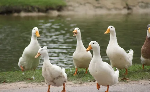 熊溪先鋒公園