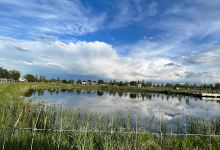 Discovery Wildlife Park & Campground景点图片