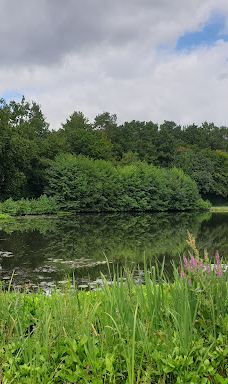 Parc des Gayeulles-雷恩