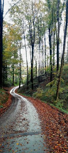 Tyrelodspynten-瓦埃勒