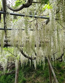 河内藤园-北九州