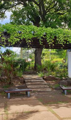 Belvédère du Tahara'a-大溪地