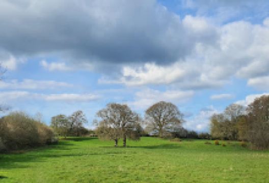 Chailey Windmill景点图片