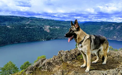 Gowlland Tod Provincial Park