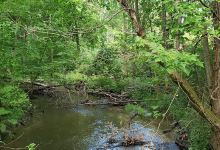 Stamina Stadium & McIreland Nature Trails景点图片