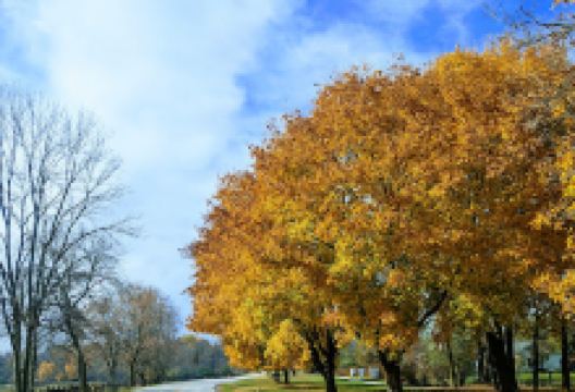 Lost Woods Park景点图片