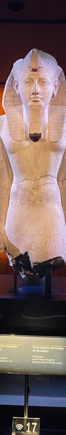 休斯顿博物馆区-休斯敦