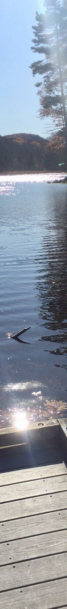 Mount Tom State Reservation-霍利奥克