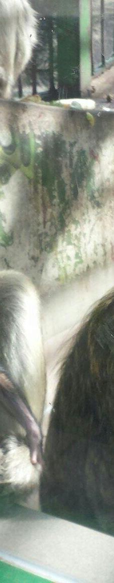 Zoo Kosice-科希策1区