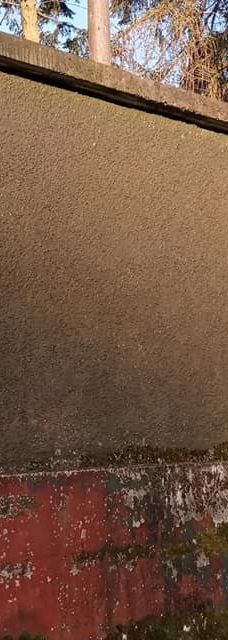 Hazelbank Park-纽敦阿比