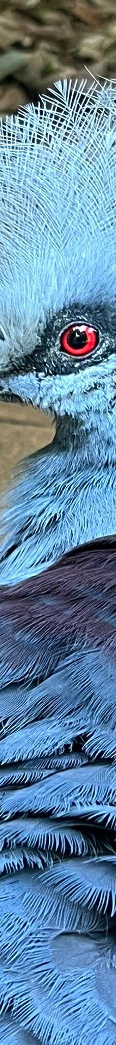 Butterfly Park Empuriabrava-Alt Emporda