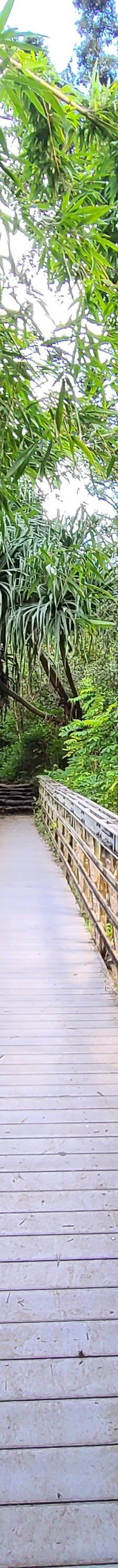 皮皮崴小径-茂宜县