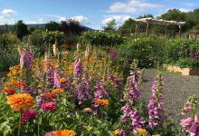 Georgeson Botanical Garden景点图片