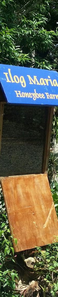 Ilog Maria Honeybee Farm-锡朗