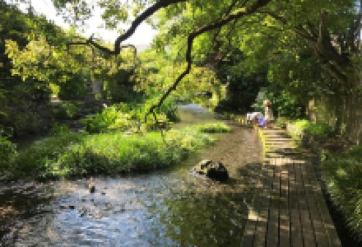 源兵卫川景点图片
