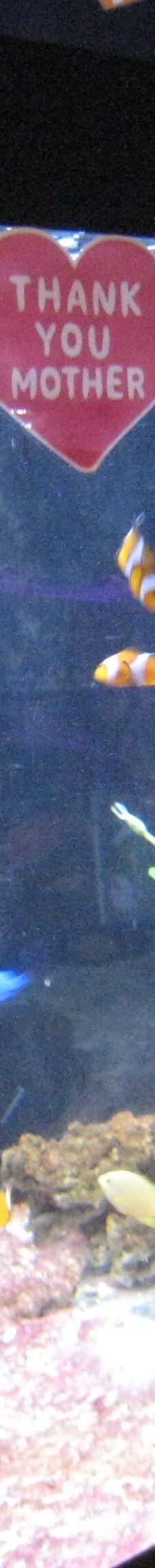 八户市水产科学馆Marient-八户