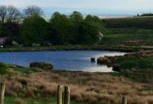 Red lumb fishery景点图片