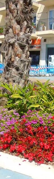 Paseo Maritimo de Estepona-埃斯特波纳